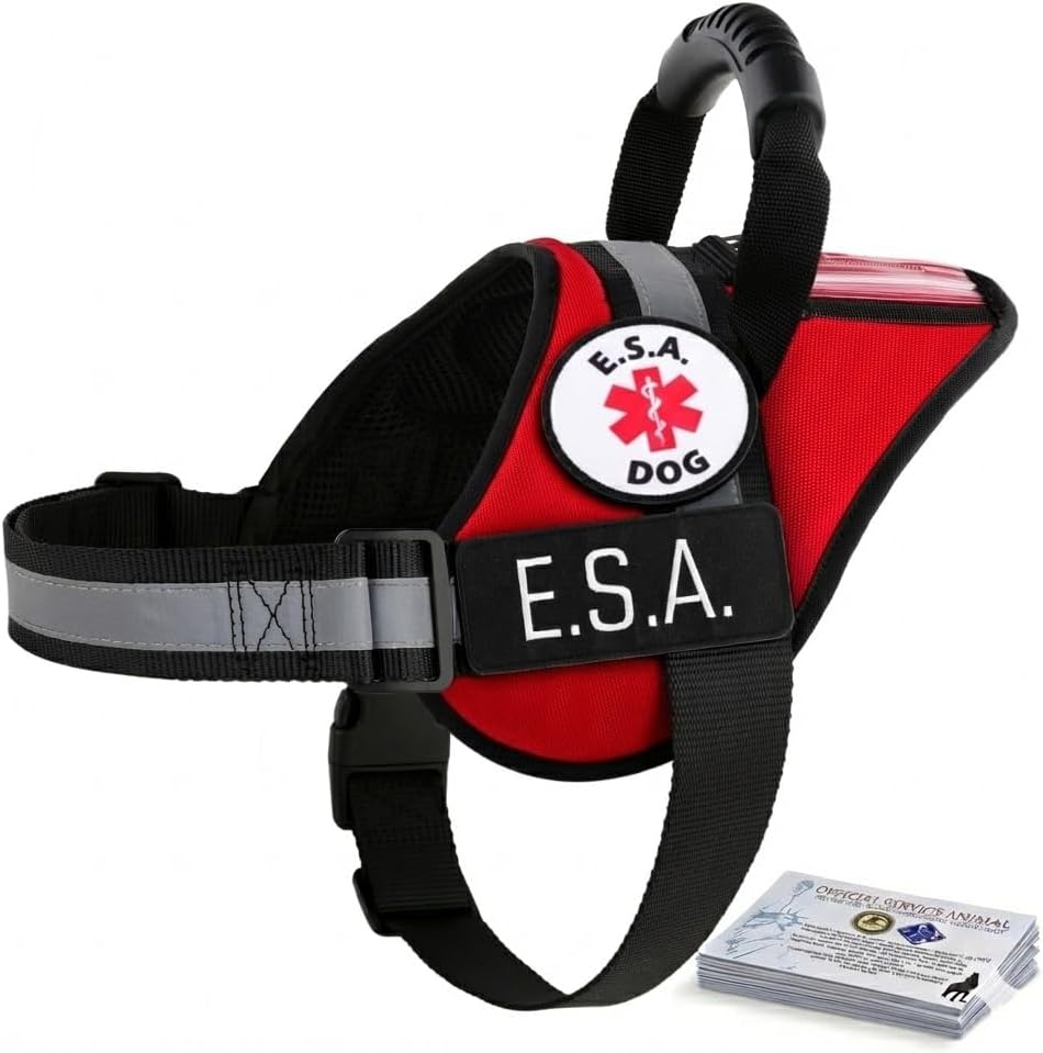 Service Dog Therapy Dog ESA Support Animal Harness - No Pull Reflective Vest - ID Pocket Handle - Waterproof Adjustable Mesh - Includes 10 Info Cards