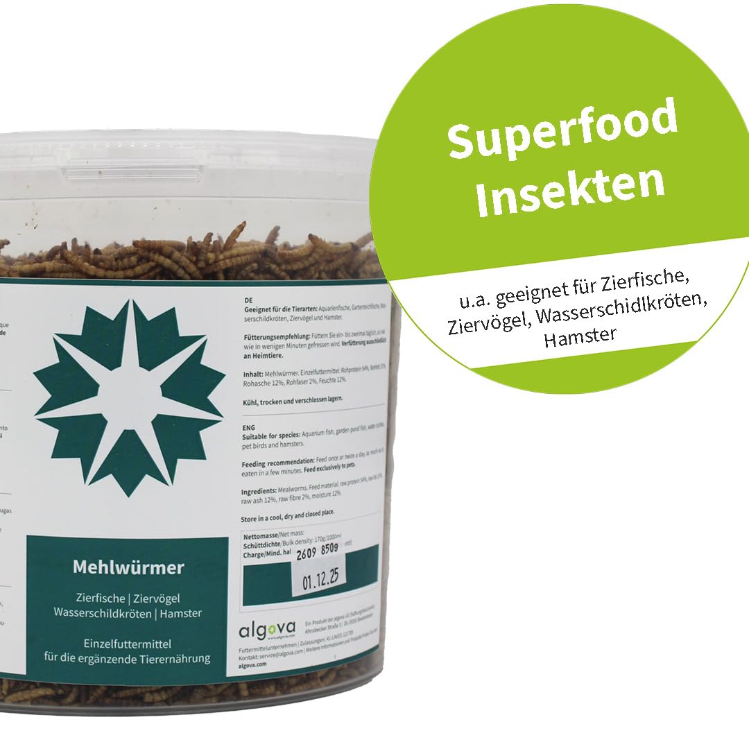 Mehlwürmer getrocknet - Natürliches Insekten-Futter für Zierfische, Zier-Vögel, Schildkröten, Igel (5L = 850g)