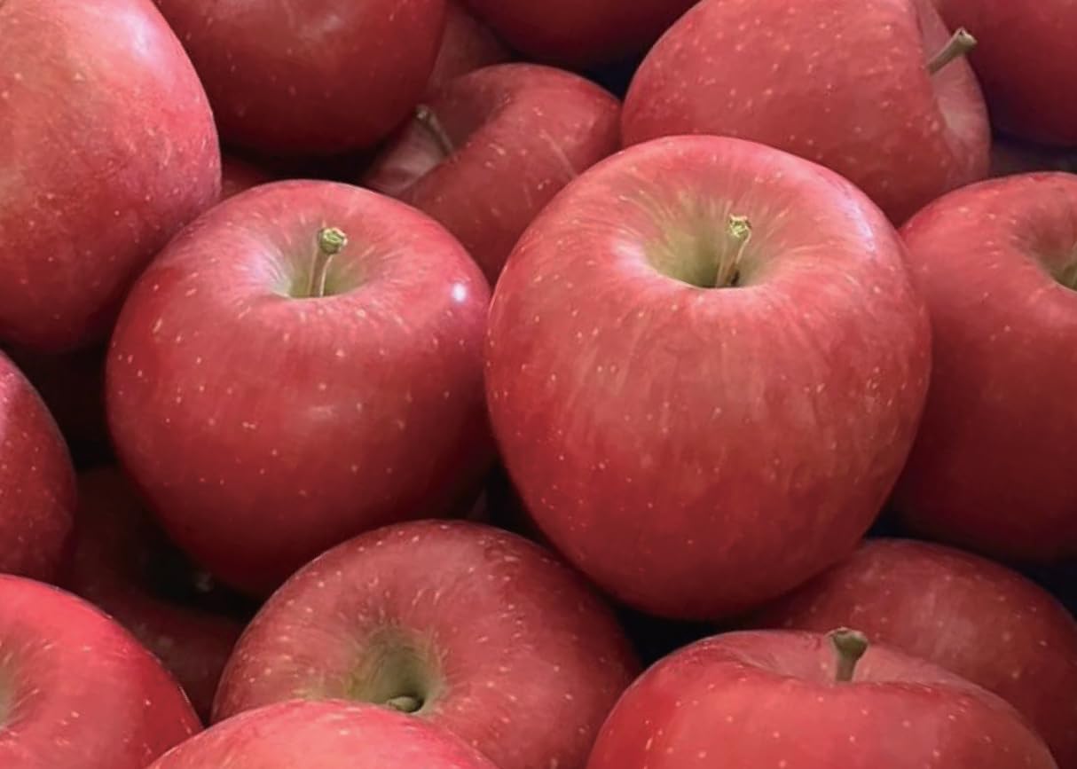 株式会社日本農業 青森県産りんご 早生ふじ 訳あり 産地直送