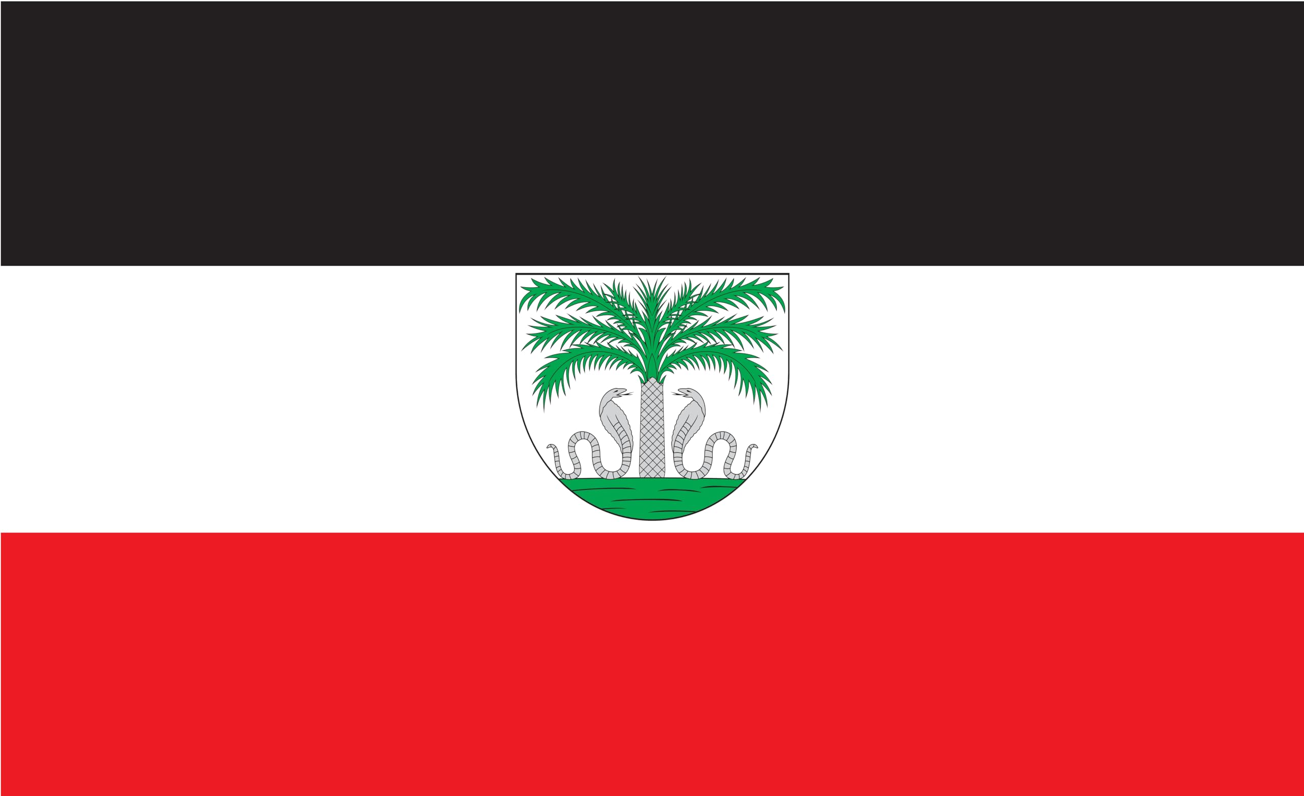 Drapeau allemand Togo colonie 1914 pavillon marine impériale f 120x80cm