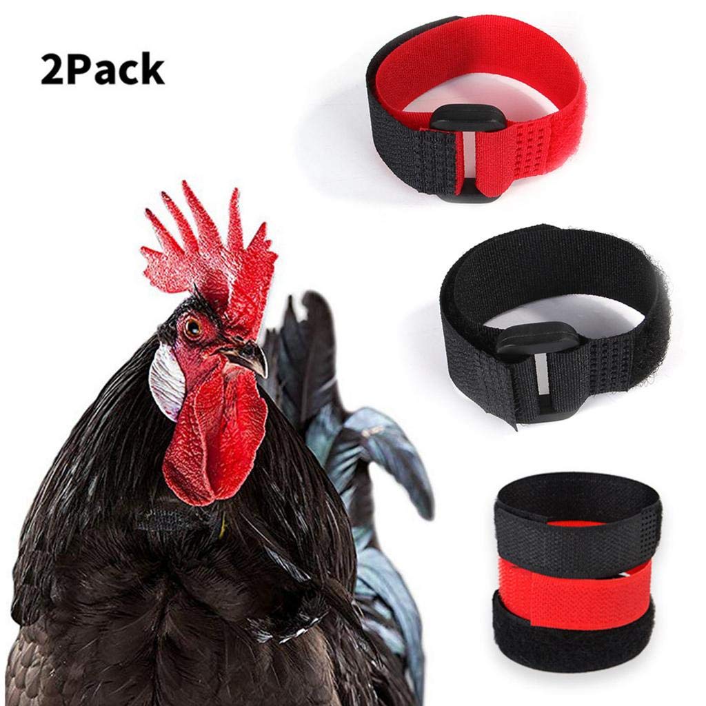 Amazon.co.jp: CUTICATE 4ピース/個鶏の首輪で鶏が鶏の鳴き声を叫ぶの