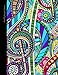 Monthly Budget Planner: Bill Organizer Book with Weekly Calendar & Expenses Tracker ( Large Spacious Softback Notebook * 24 months * for Personal or ... Carnival ) (Budget Planners and Organizers)