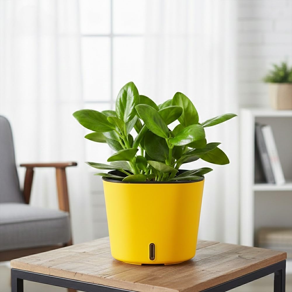 GARDENCIA Self Watering Pots - Modern Plant Cachepots -12 GARDENCIA Self Watering Pots - Modern Plant Cachepots -12