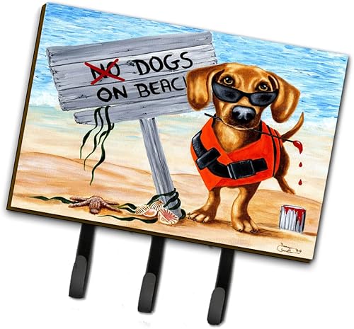 Caroline's Treasures AMB1341TH68 - Correa o soporte para llaves, ganchos de pared, ganchos para llaves, soporte para perchero, ganchos para colgar