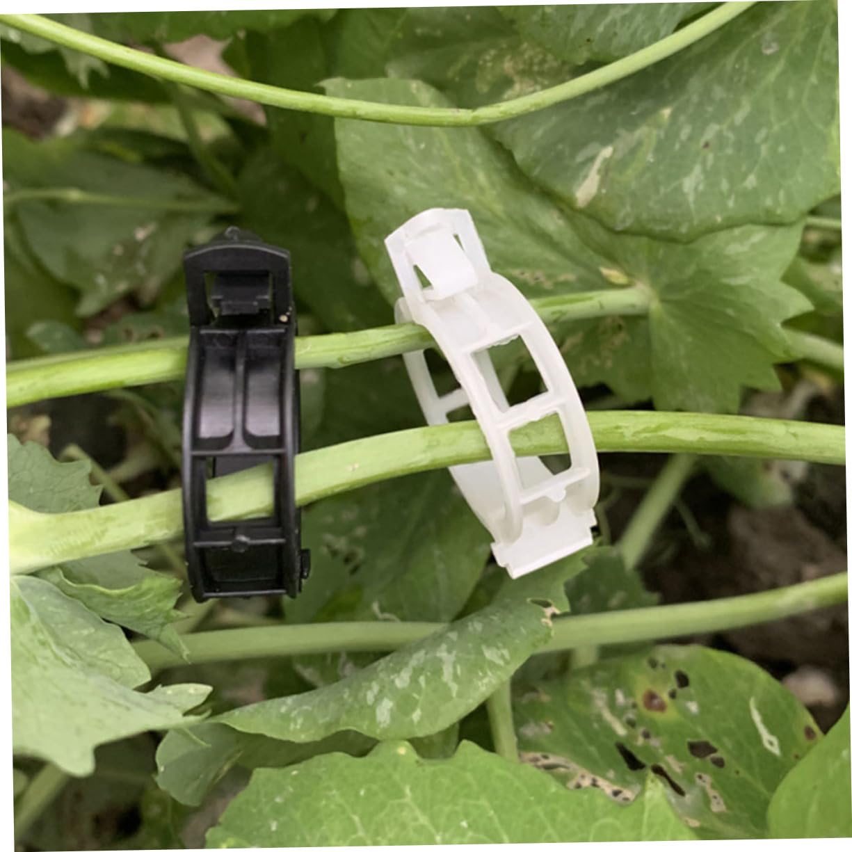 Mikikit 500stücke Pflanzenclips Für Tomaten Und Kletterpflanzen Wiederverwendbare Gartenclips Stabile Pflanzensicherung Für Blumen Und Gemüse
