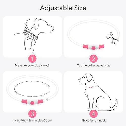 Miniatura 6 de Colaseeme Collar de perro con luz LED, 1 unidad, recargable por USB, TPU brillante, collares básicos de seguridad para perros, no utilices carga