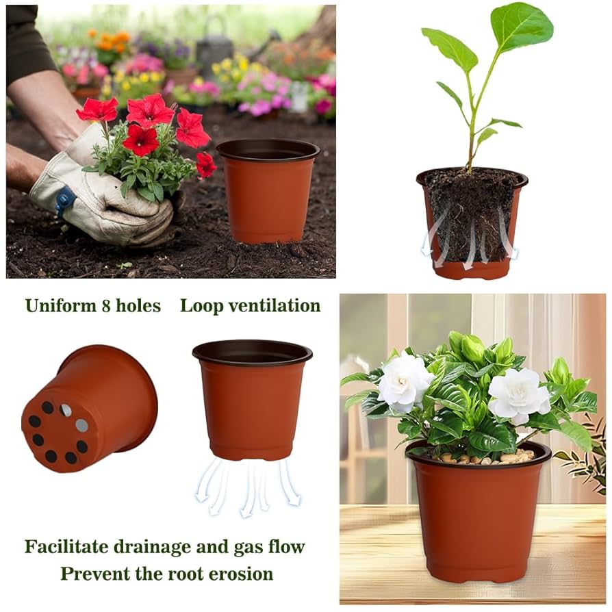 Willing plant ordinal pot W.P-004 Mix⑧ Amazon.com: KINGLAKE 100 Pcs 4