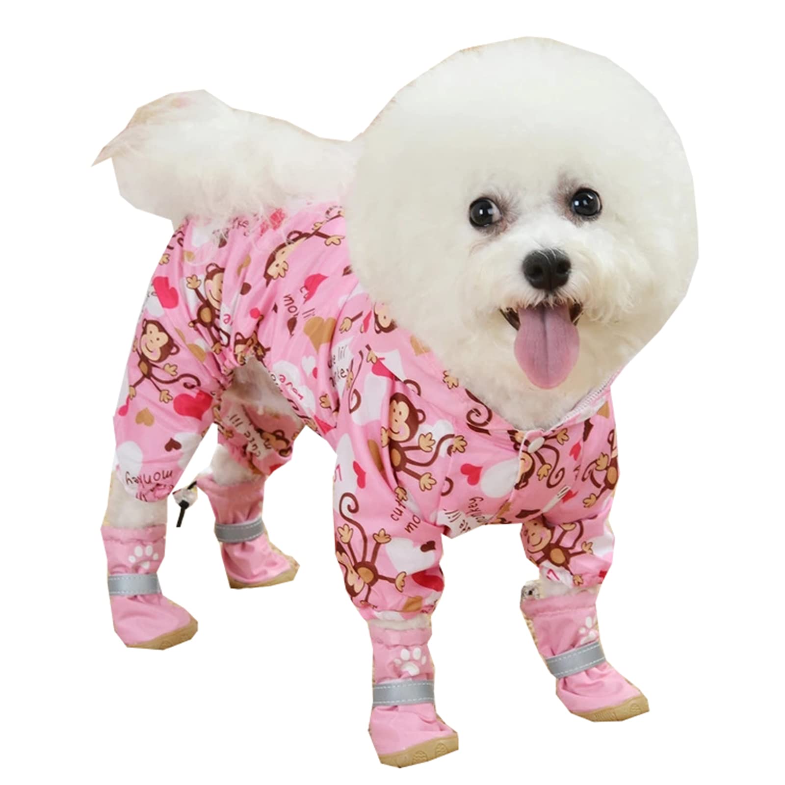 Can My Dog Get Sick From Being In The Rain