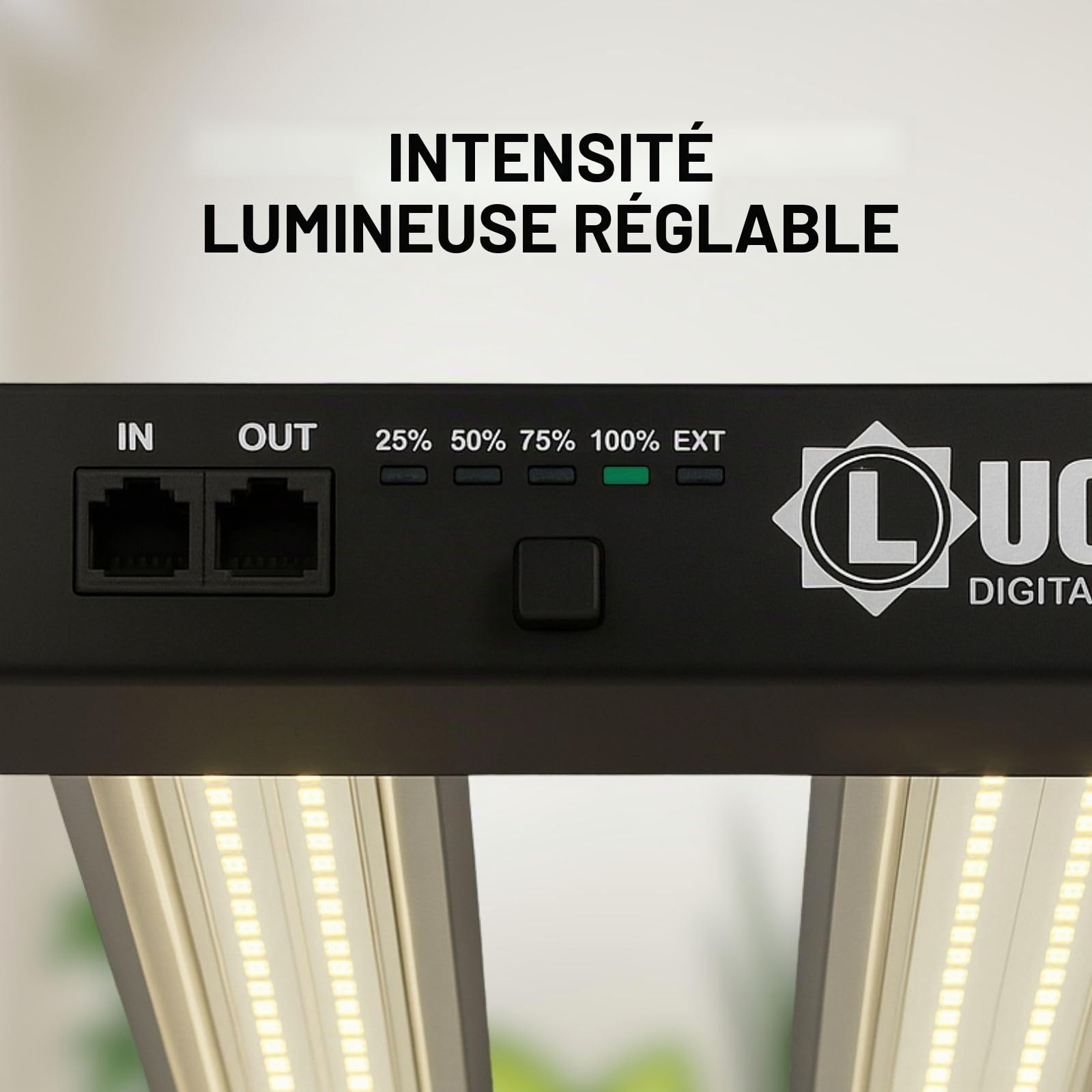 LED 240 W - Éclairage spectre complet pour cultiver des plantes en intérieur - 2,9 µmol/J, réglable - Panneau LED professionnel pour croissance et floraison