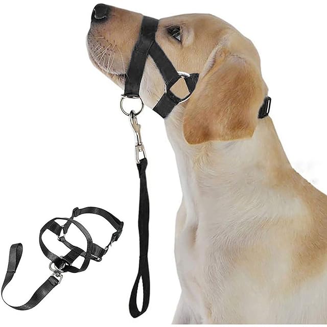 WUDQIJI Arnés de Entrenamiento para Perros hocico para Perros bozal bozal Negro Protector bucal para Perros…