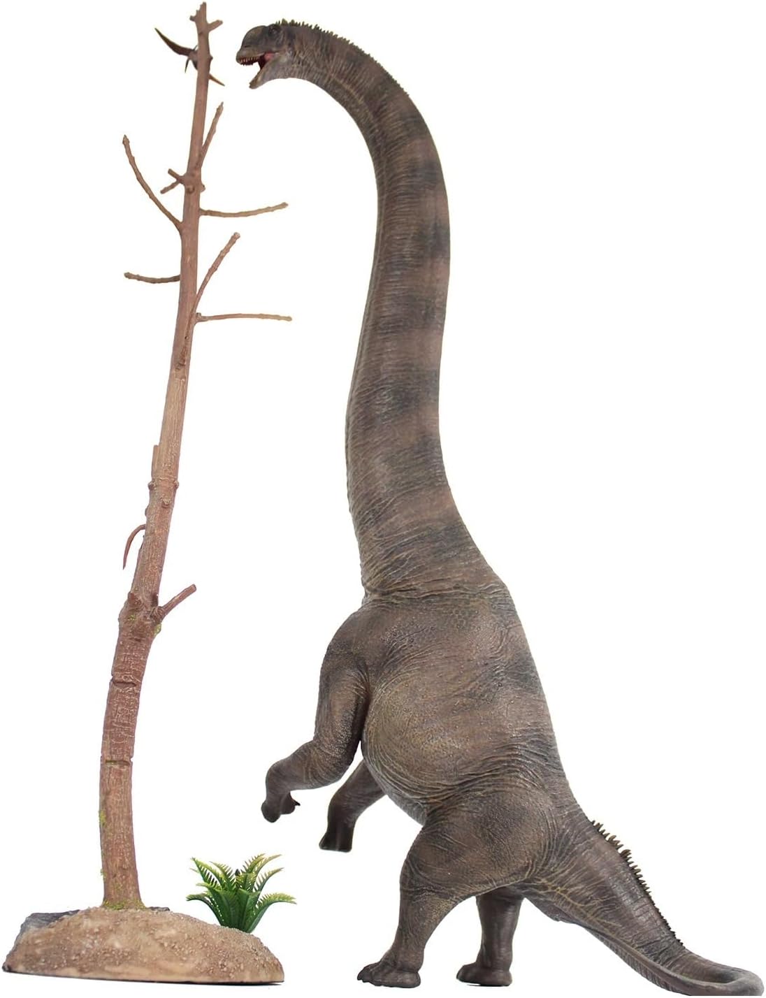 XINPANYIAN Haolonggood Sauroposeidon Model for Adults or Ages 15 Years up (Xu Mao Gong)
