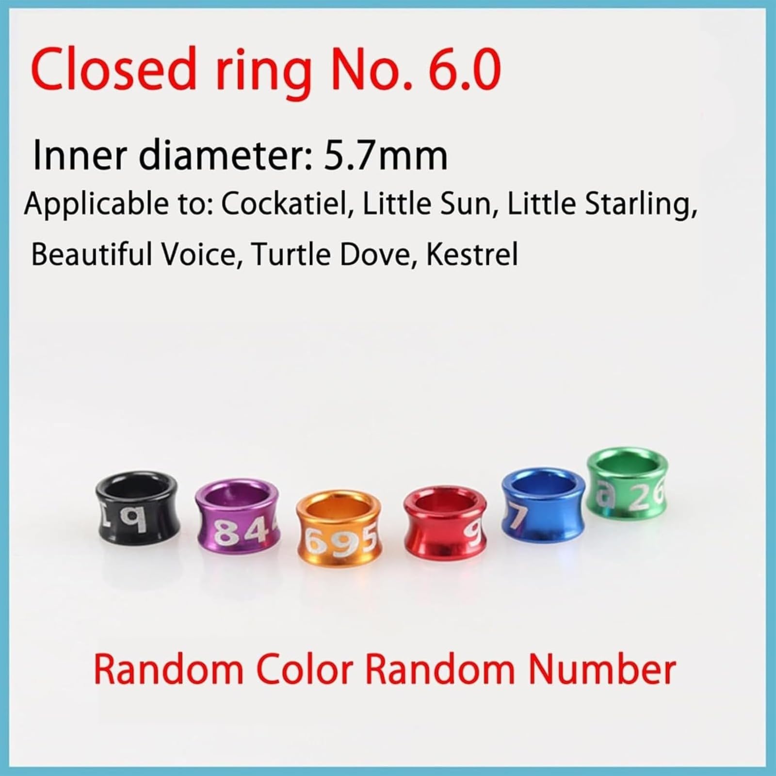 Générique Bande Professionnelle à Jambe fermée pour Oiseaux - Bague en Aluminium Durable pour perroquets, pacaws, Conures, Oiseaux Exotiques (Couleurs Mixtes)