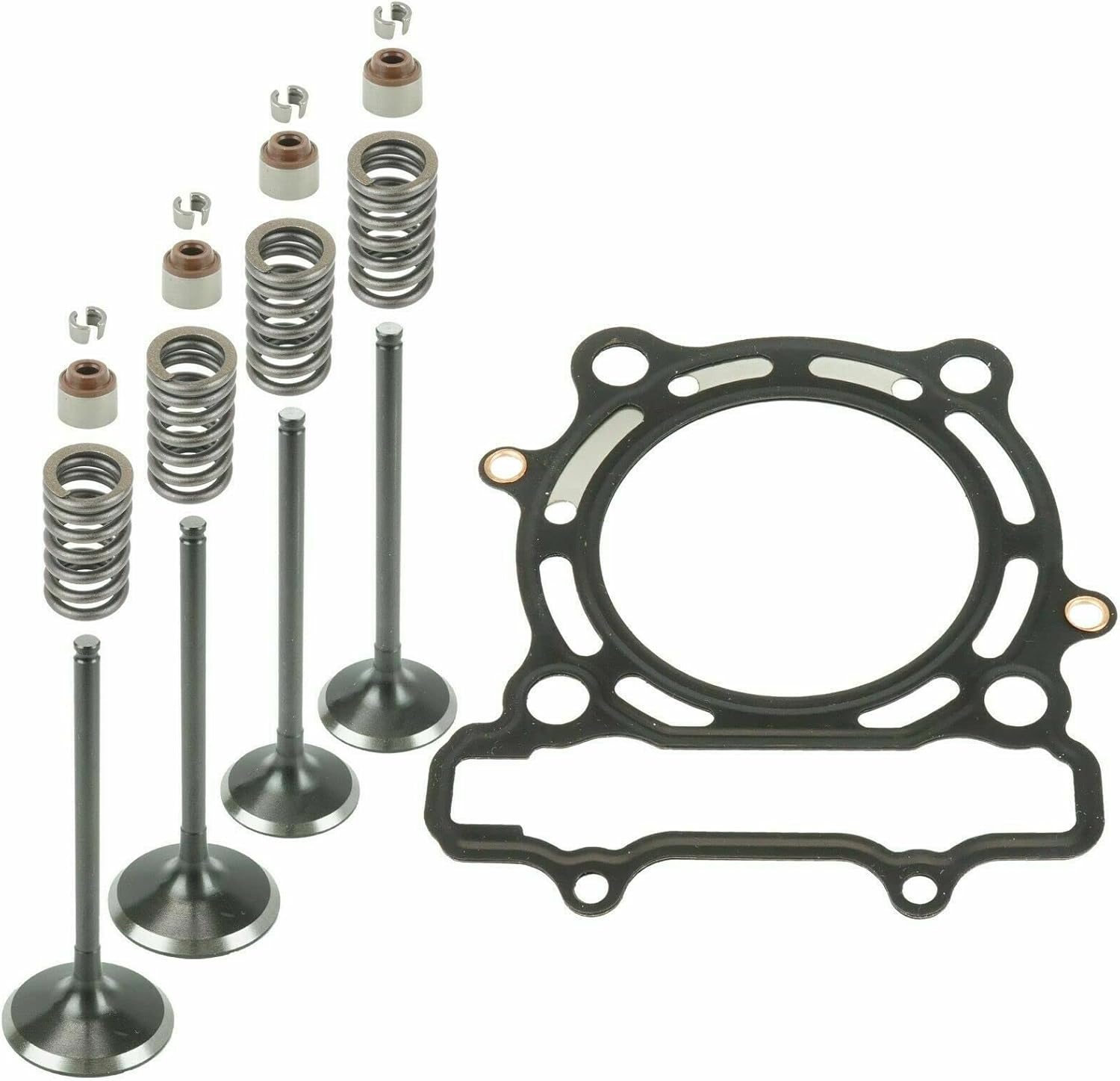Replacement for Cylinder Intake Exhaust Gasket Valve Kit