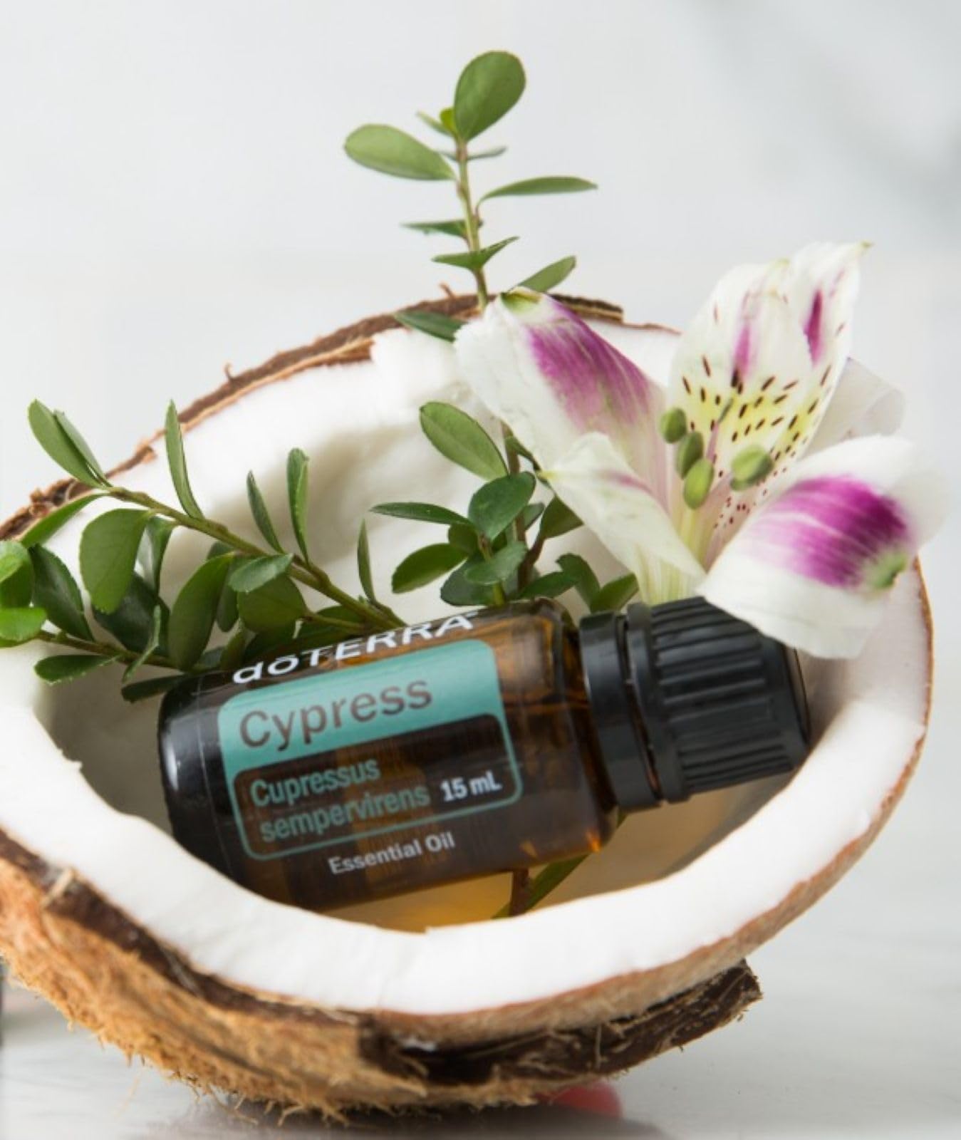Amazon.com: doTERRA Cypress Essential Oil 15 ml : Health & Household