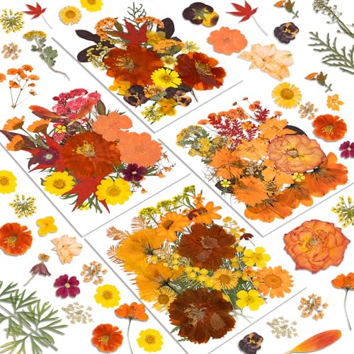 Image of Dried Flowers, Resiners 100Pcs Fall Pressed Flowers for Craft Real Natural Dried Flowers Dry Leaves Kit for DIY Making Crafts Resin Soap Candle Scrapbook Supplies Card Making Jewelry