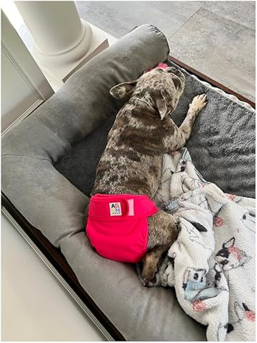 Miniatura 5 de ARCM PETS Pañales lavables sin agujero para la cola para mascotas, pañales para perros hembras y cabras bebés, ultra absorbentes, pañales para