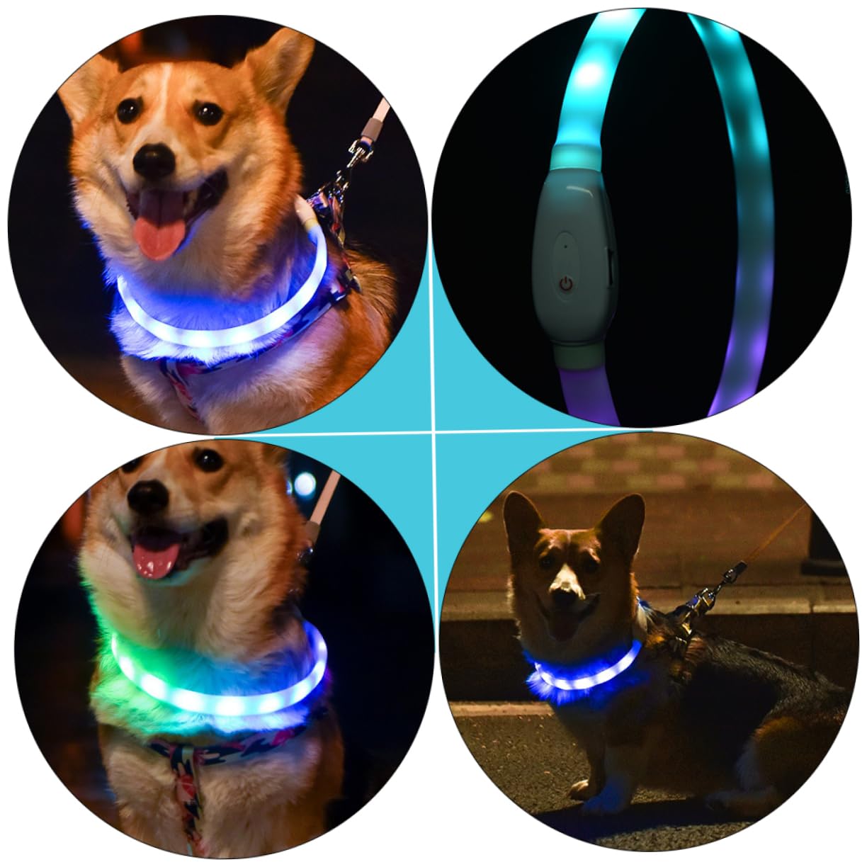 Toddmomy 3ensembles Collier LED pour Chien Rechargeable Collier Lumineux Ajustable USB Sécurité pour Animaux De Compagnie