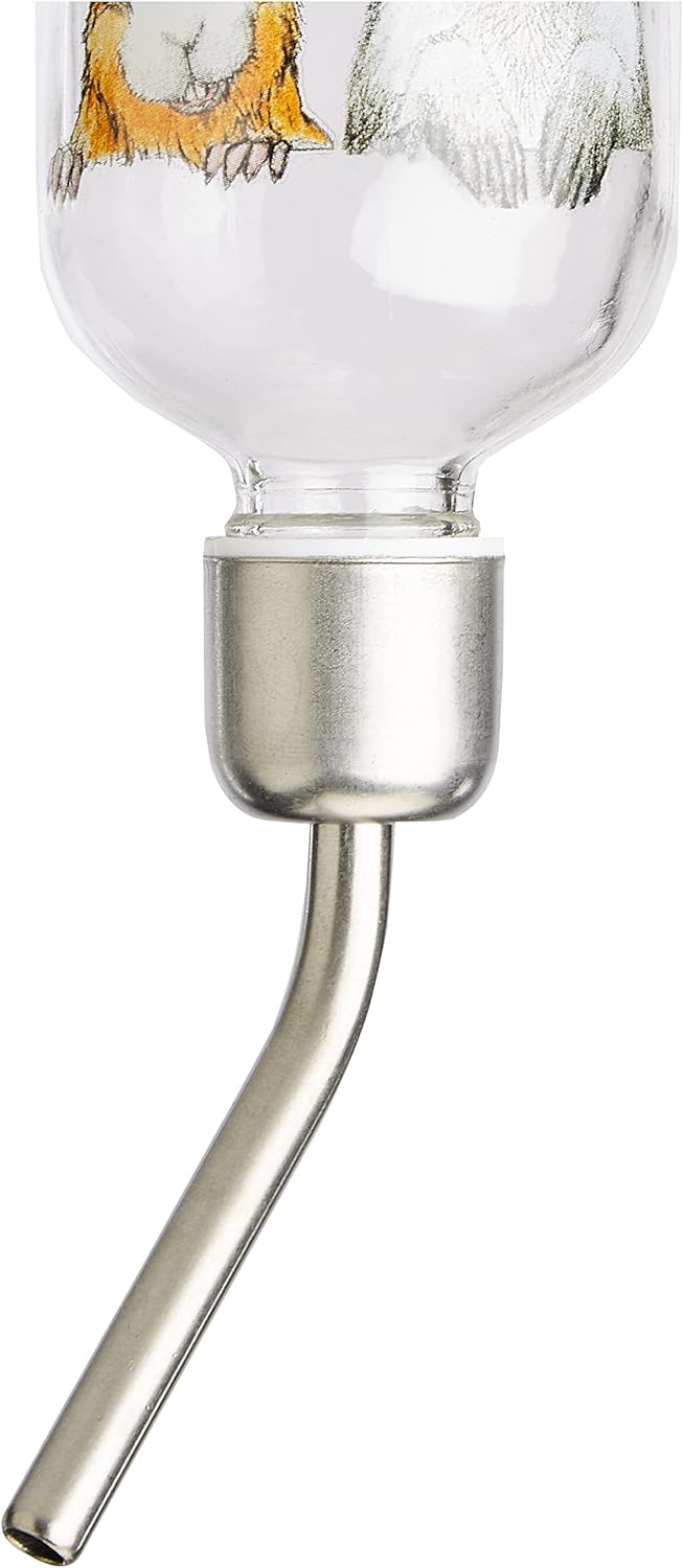 Close-up of water bottle spout and attachment