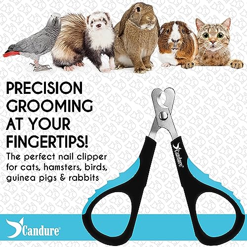 Candure Profi Krallenschere für Hunde und Katzen mit Nagelfeile Edelstahl Krallenzange Hohe Qualität Krallenpflege Schneider für Haustiere Nagelknipser groß Mit Sicherheitsschutz (Klein (XS), Blau)