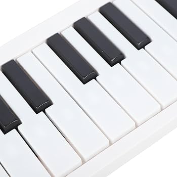 LONDO FOLDABLE KEYBOARD 61鍵 512TlaLaFvL._UF1000,1000_QL80_.jpg