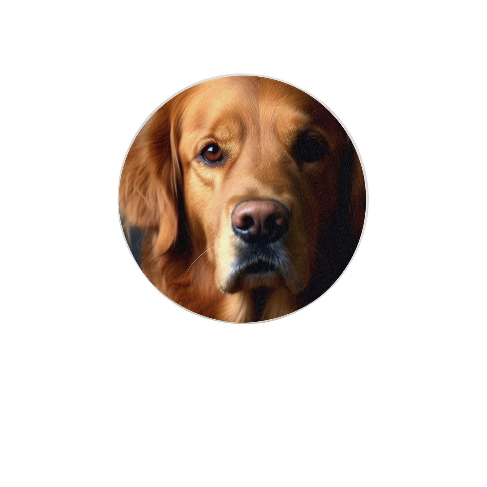 Golden Retriever Absorbent Drink Coasters Diatomaceous Round Coaster 4 Inch Reusable Cup Coasters Set 4pc