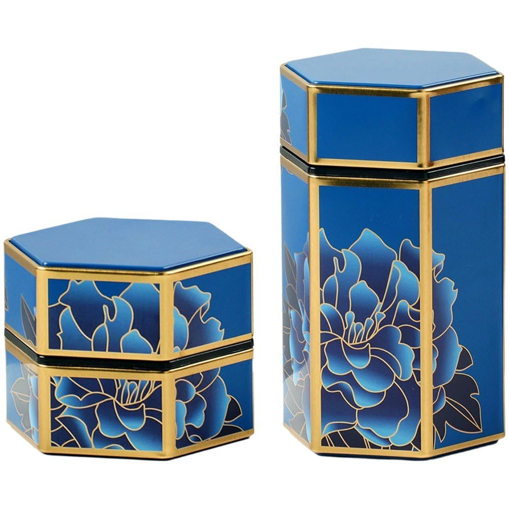 Sanfly Dry Storage Tinplate 2pcs Caddy Box Hexagonal Retro Tea Pot Kitchen Storage Containers Loose Leaf Tea Tin Containers for Coffee Sugar Spices