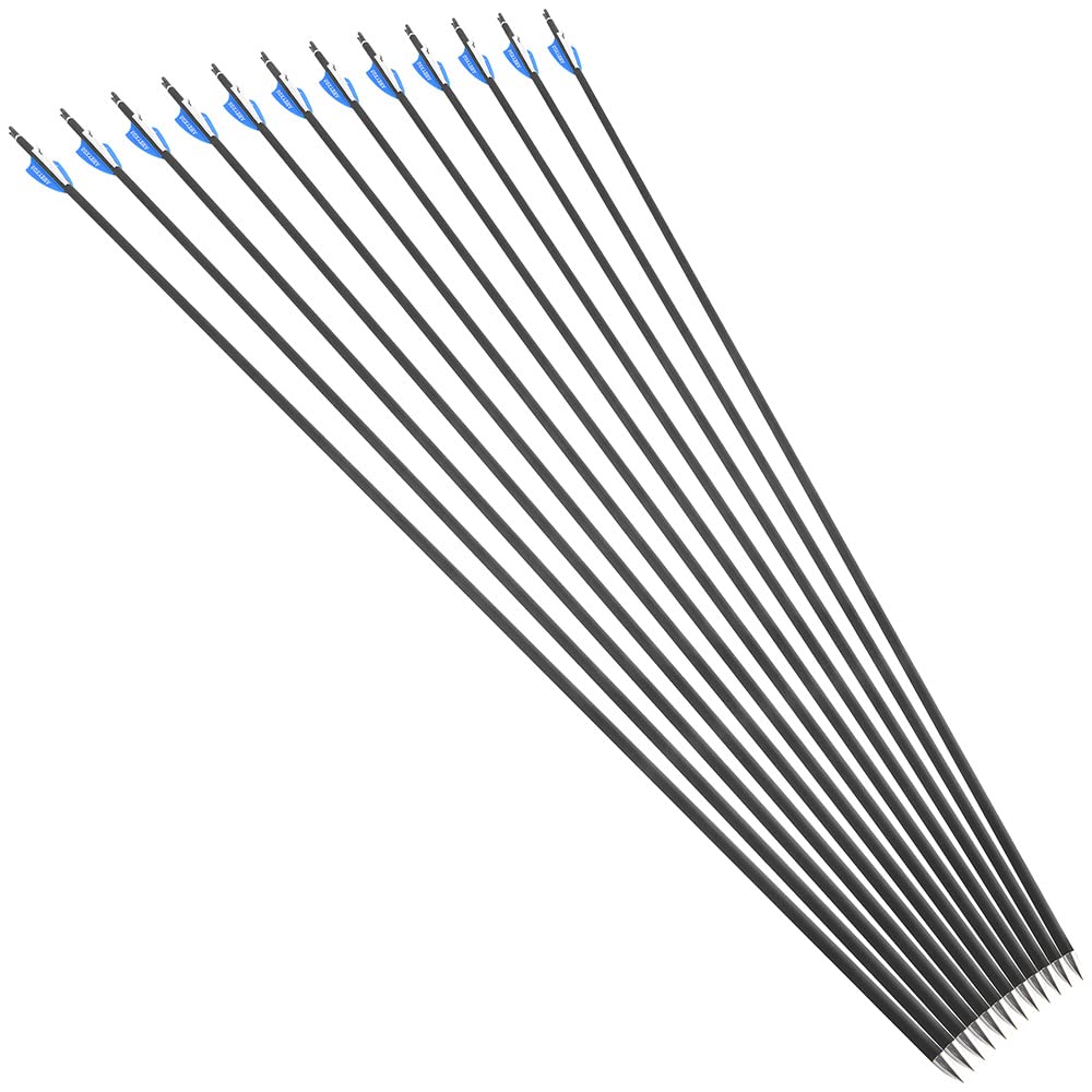 Lot De 12 Flèches Carbone 32″ – Spine 600, Diamètre 5,7mm, Poids 21g, Pointes 80 Grains, Pour Arc Classique Et Poulies