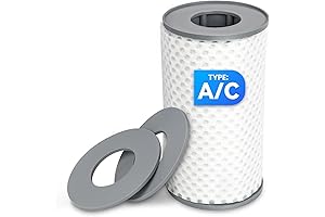 Type A or C Reusable Above Ground Pool Filter for 29000E/59900E