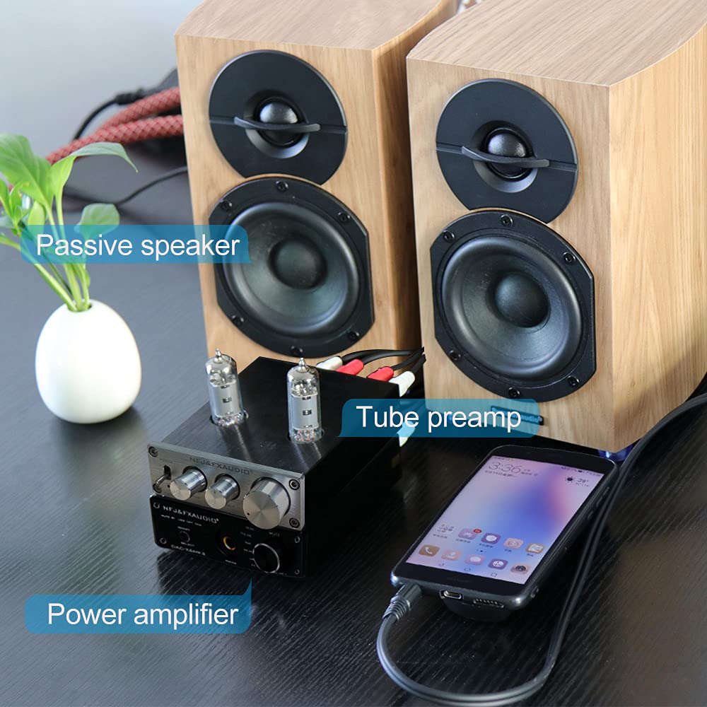 FX AUDIO Vacuum Tube Preamp—Mini Electronic HiFi Stereo 6K4 Tube