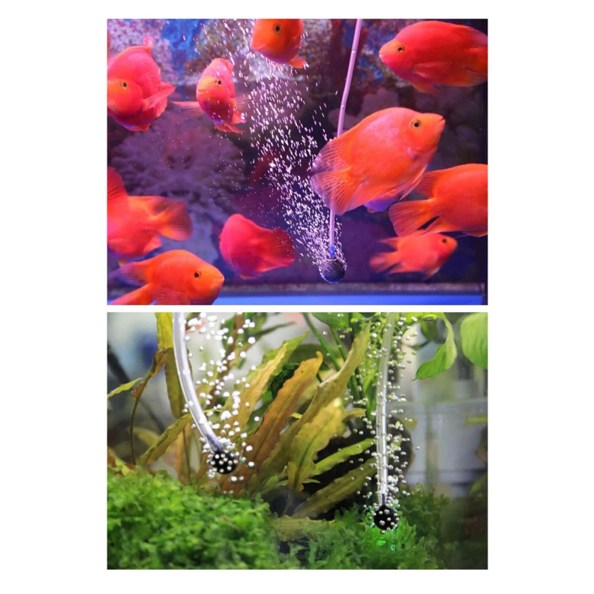 Alipis Solar Sauerstoffpumpe für Aquarien, geräuscharmes Design, 3600mAh stromsparend, ideal für Outdoor Fischen und kleine bis mittelgroße Fischteiche, Kunststoff