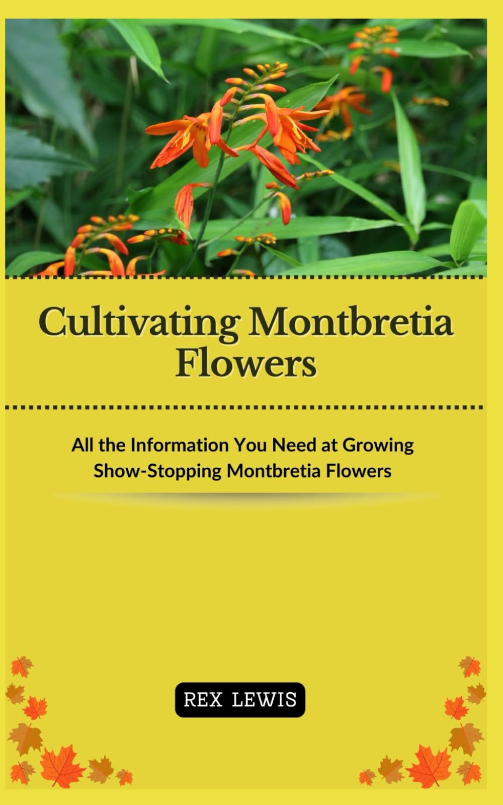 Cultivating Montbretia Flowers: All the Information You Need at Growing Show-Stopping Montbretia Flowers