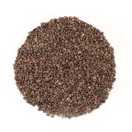 Sinsunherb alforfón coreano de tartán 1764oz 1 paquete coreano negro amargo de trigo sarraceno sin pelar ideal con arroz y té