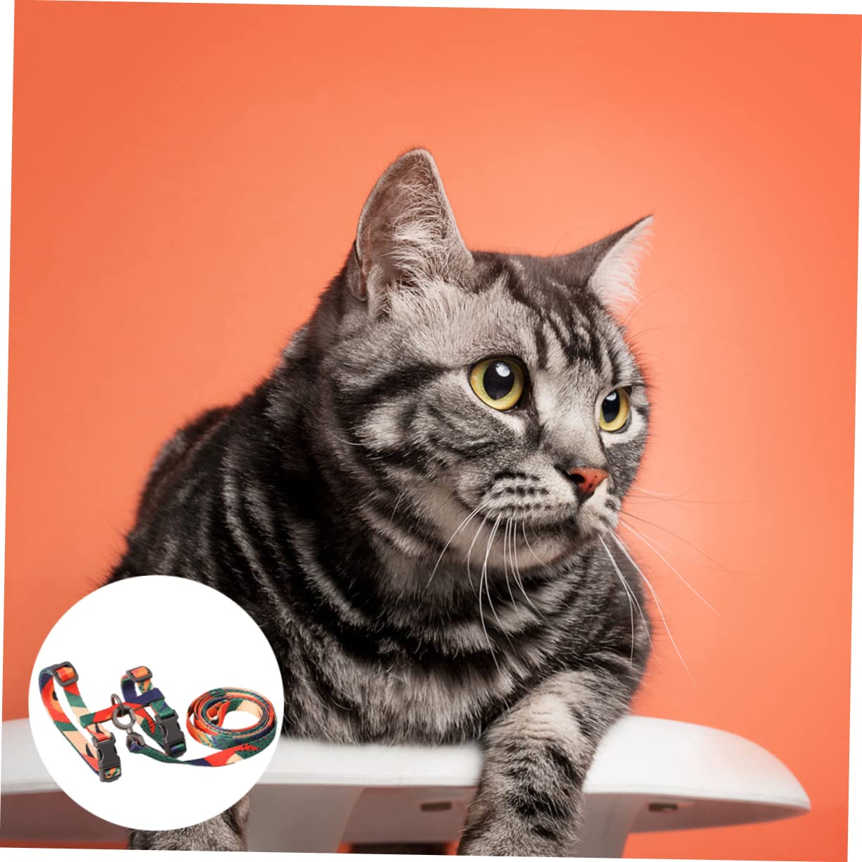 Toddmomy 3piezas Arnés para Gatos Correa Antiescape Material Resistente y Ligero para Paseos y Actividades Al Aire