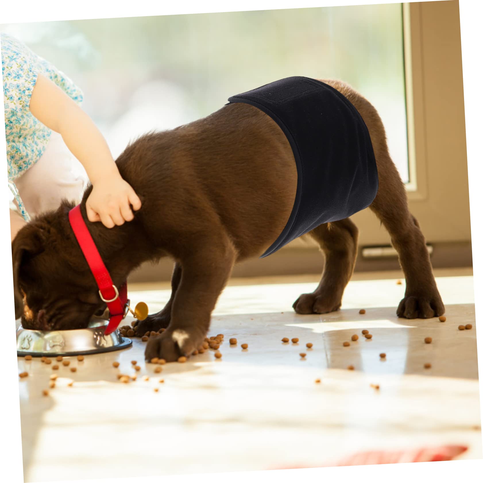 BESPORTBLE 3pezzi Banda Addominale Lavabile Per Cani Maschi Pannolino Riutilizzabile Per Animali Domestici Design Assorbente e Misura Media Ottima Per Uso Domestico e Viaggi