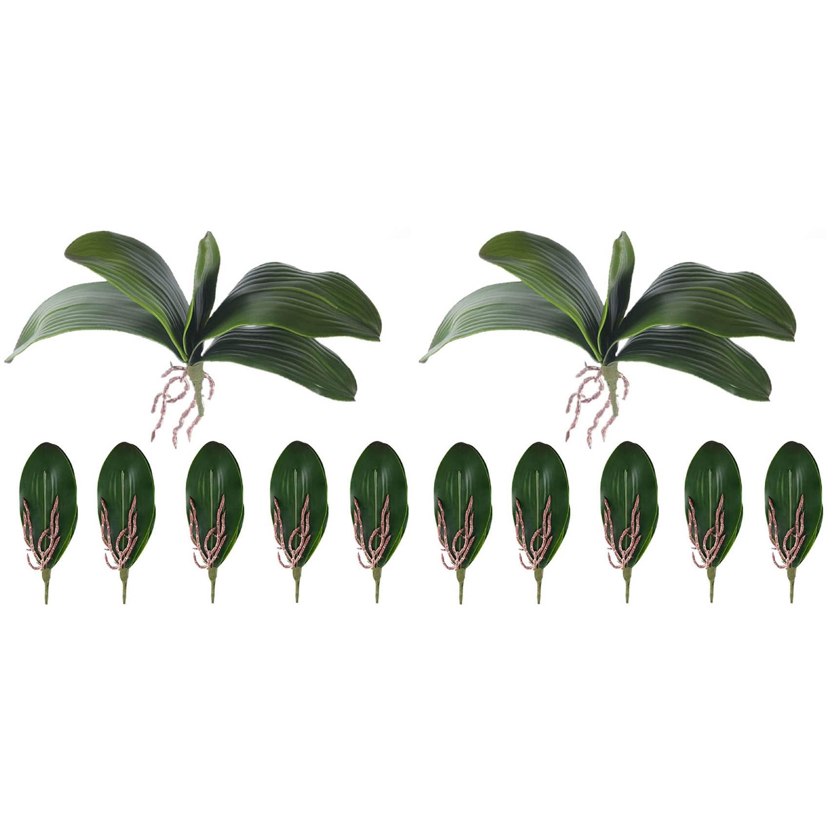 Hndhbfgrt Phalaenopsis Orchids Leaves Artificial Real Looking Latex Contact Plants Green Faux Leaf Arrangement,12 PCS