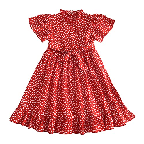 Daisy Print Dress for Toddler Girls Summer Ruffled Collar Fly Sleeve Back Zip Chiffon Casual Floral Sundress