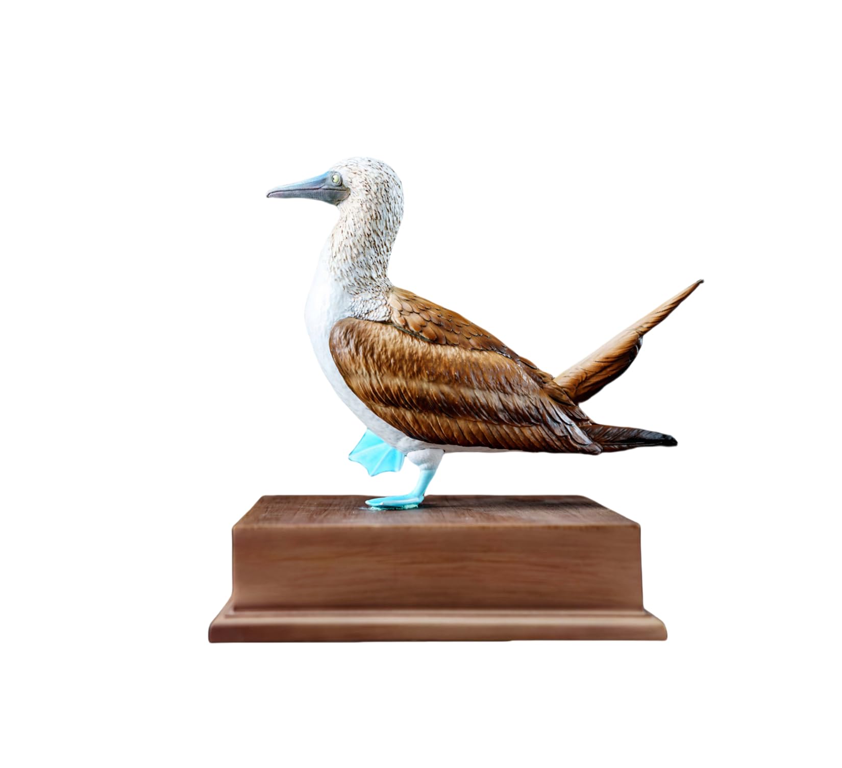 Amazon.co.jp: 博物志 アオアシカツオドリ フィギュア 青い足 15CM 青