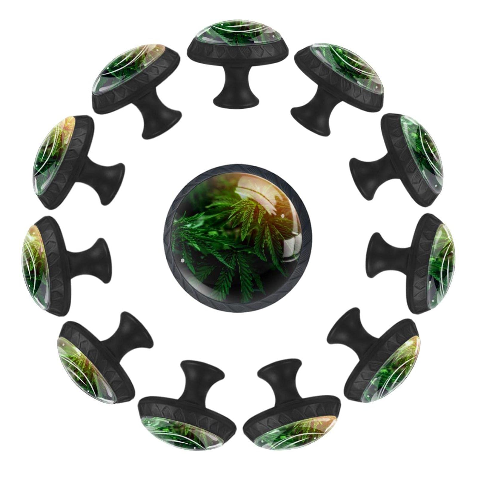 Boutons de tiroir ronds 35mm Cannabis Bush lot de 12 pour commode de chambre
