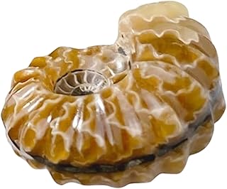 Healvian Snail Crystal Ornament Desktop Decor Colorful Decor Stable and Practical Decor Decorative Effect Table Decoration Indoor Conch Art Stone Decorate Decorations Crystal Stone