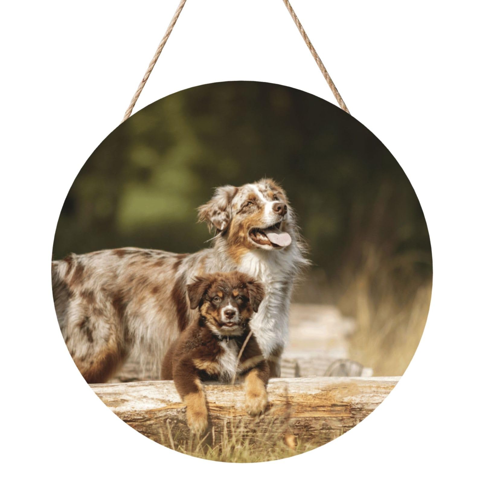 InOmak Australian Shepherd Dogs Aussie Brown Dogs, Round Wood Panel Painting 12 in, Wall Hanging Painting For Home