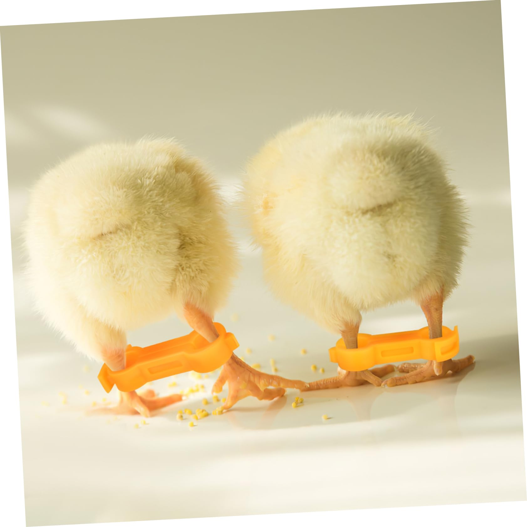 UPKOCH Corrector de Patas para Pollitos, 12 Piezas, PVC Amarillo | Ajuste Suave y Firme, Anillos Orificios de 4, 5 y 6mm, Tallas Variadas para Crías de Ave