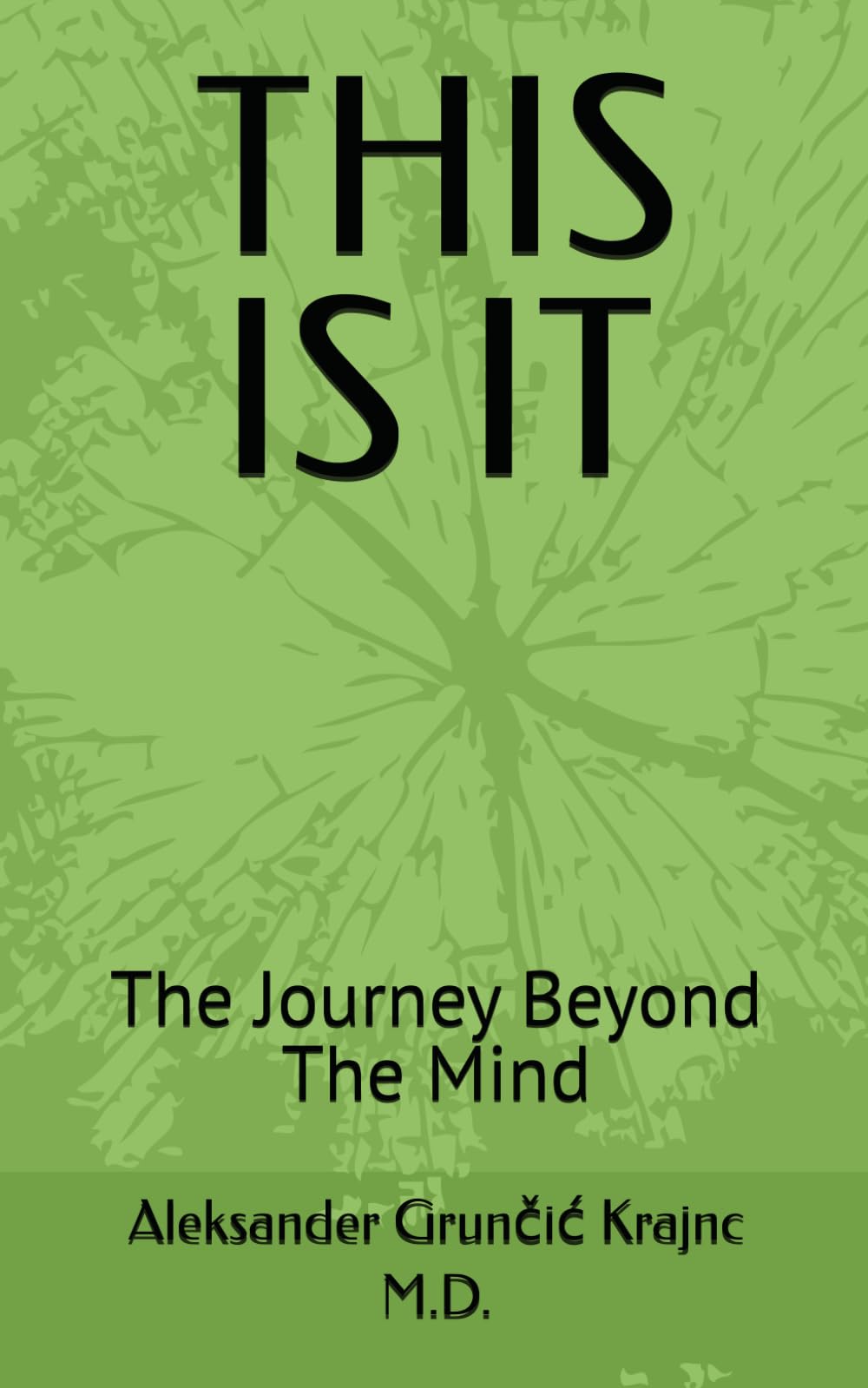 THIS IS IT: The Journey Beyond The Mind