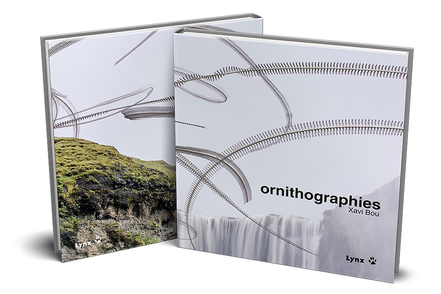 Ornithographies