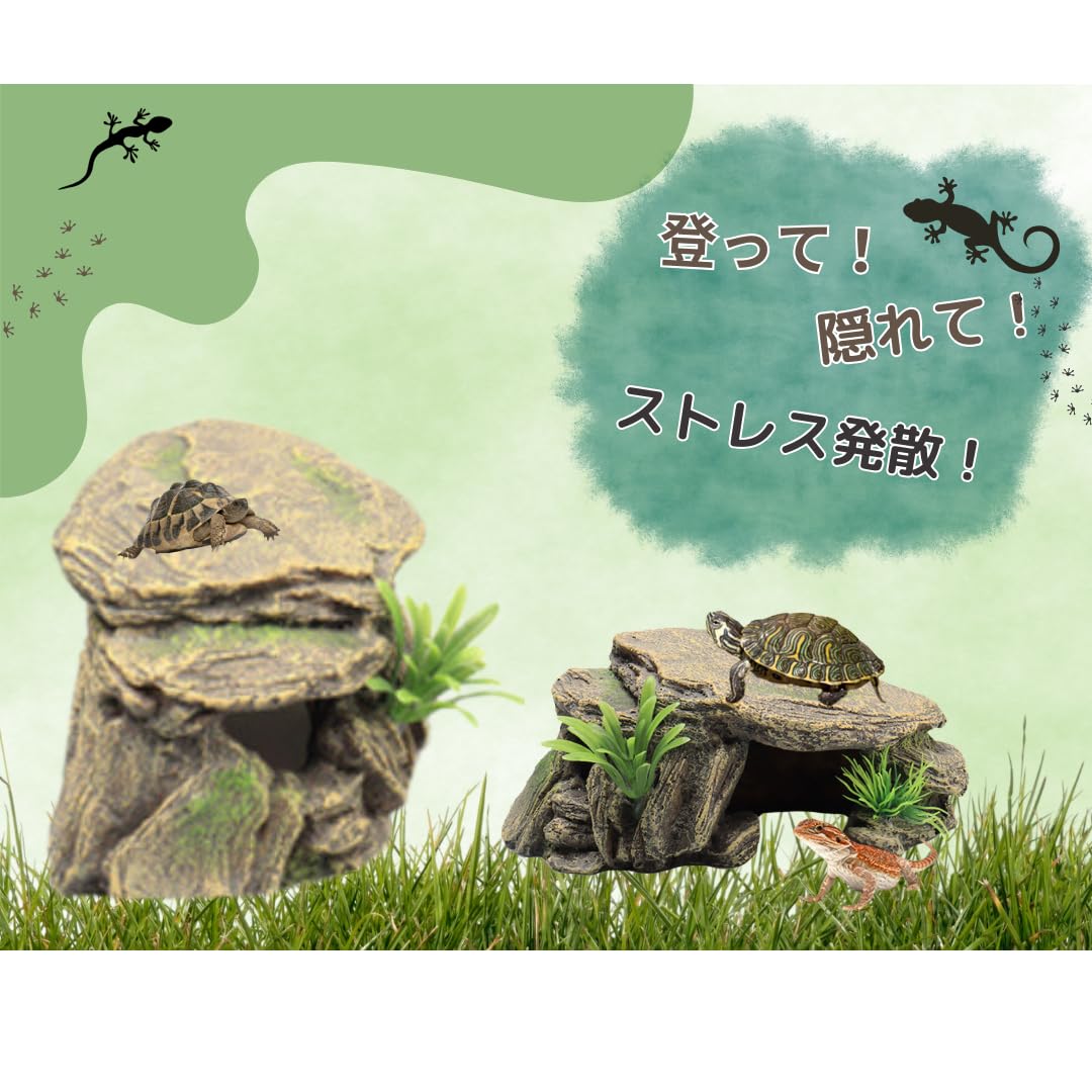 CELLTER【BIG！】LLサイズオリーブ　爬虫類両生類小動物シェルター隠れ家 Amazon | OOKEN CERTIUM 爬虫類 シェルター カナヘビ レオパ 亀