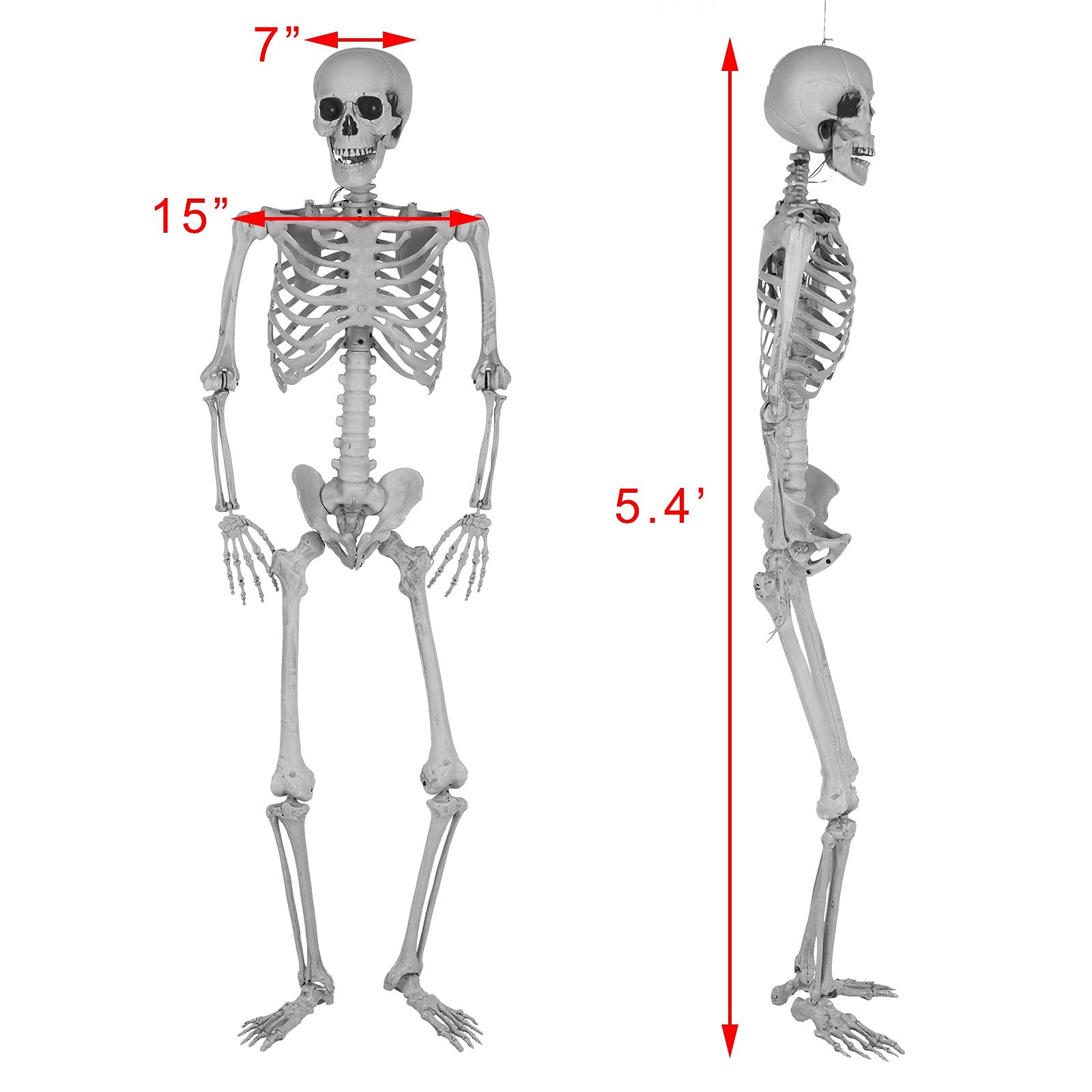 Szkielet naturalnej wielkości na Halloween, 2024, możliwy szkielet całego ciała, wiszący szkielet, dekoracja na Halloween z 7 ruchomymi przegubami, sufit, rekwizyty na Halloween, upiorna dekoracja