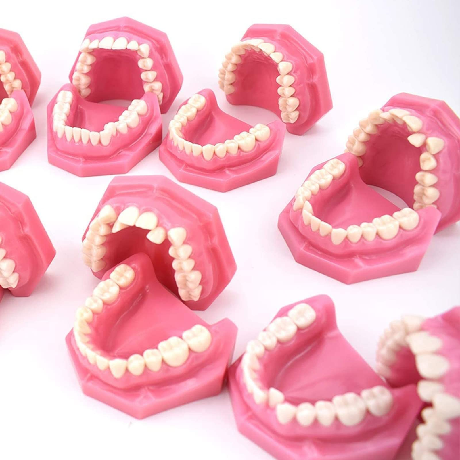 Dentysta Korekta Ortodontyczna Model Anatomiczny Do Nauki Stomatologii Badanie Zębów Dorosłych Model Dydaktyczny 10 Szt. Model Demonstracyjny Klasyfikacji Wad Z