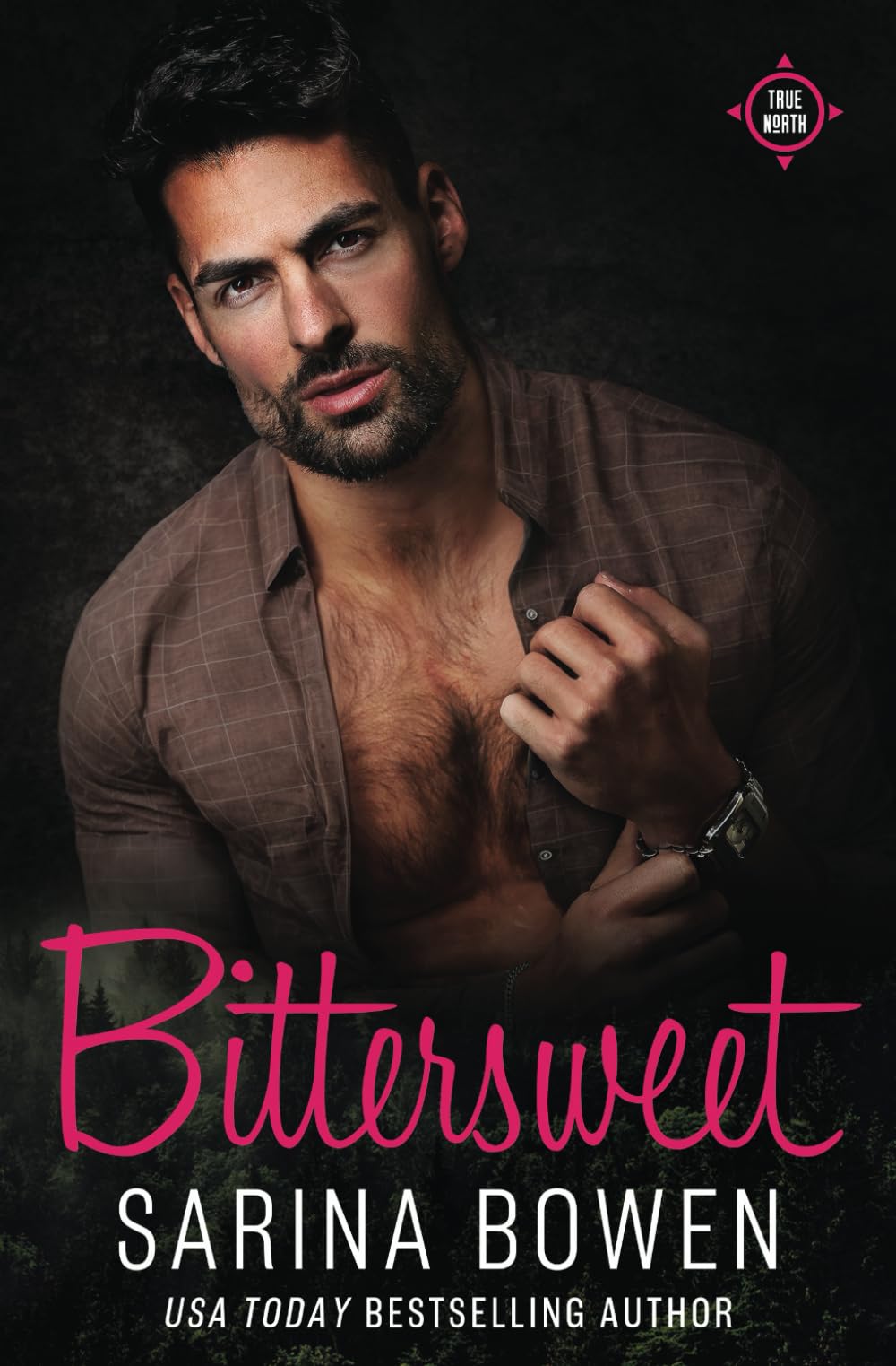 Bittersweet: Dude Edition (The Dudes of True North)