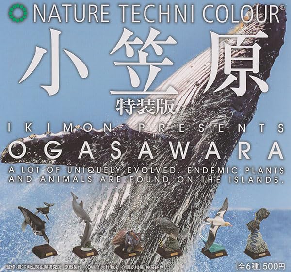 Amazon.co.jp: ネイチャーテクニカラー 小笠原 特装版 全6種セット