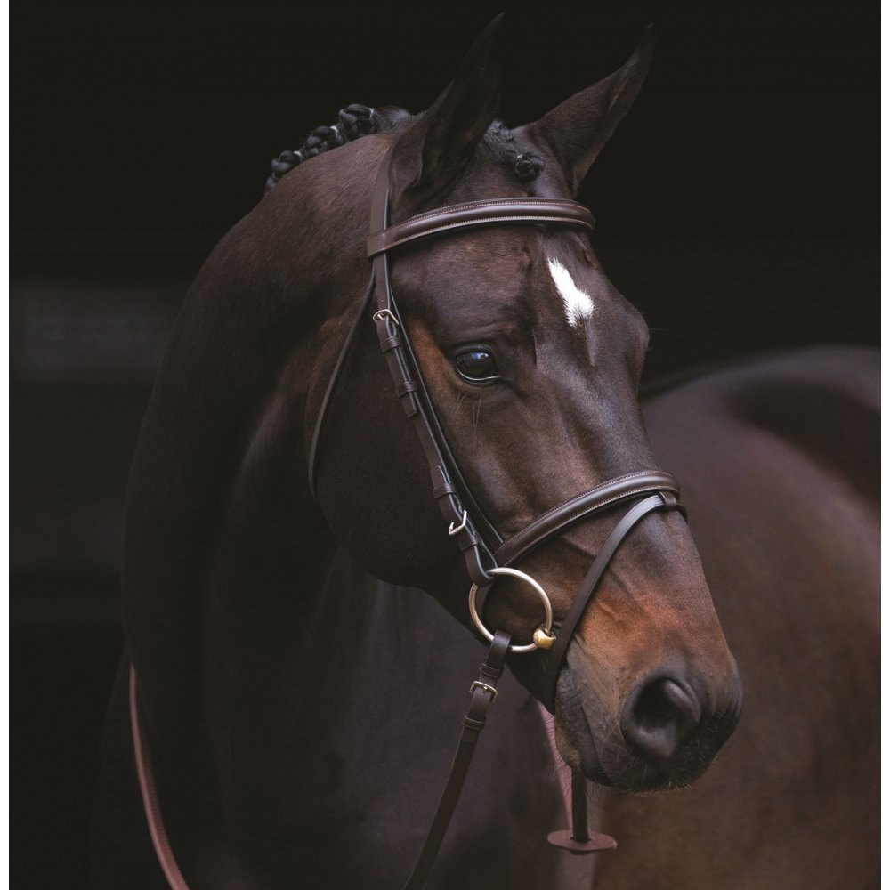 Exselle Elite Jumper Bridle - Crafted from High-Grade Leather with a Luxuriously Durable Finish, Figure 8 Noseband, Classic Elegance, Size Cob