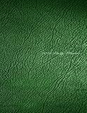 2016 Daily Planner - Green Leather by Gelding Publishing Inc. (2015-10-10)